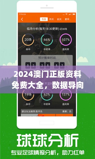 2024牟正版澳门正版免费资料,实时信息解析说明_DP67.113