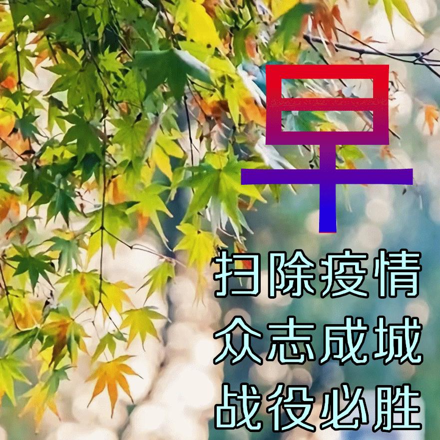 全球疫情挑战升级，应对策略的紧迫性与实施之路