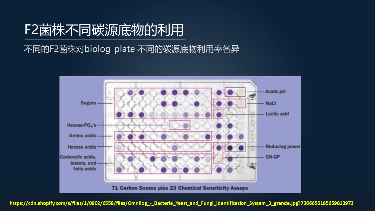 2024全年资料免费大全功能,统计研究解释定义_专属版55.18