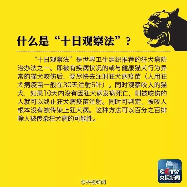 全球狂犬病防控的最新进展与挑战，新闻资讯汇总